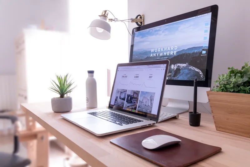 professionele website